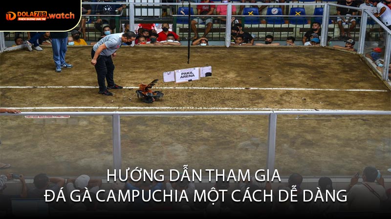 Hướng Dẫn Tham Gia Đá Gà Campuchia Một Cách Dễ Dàng